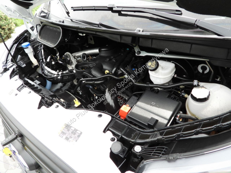 Véhicule utilitaire Ford  TRANSIT