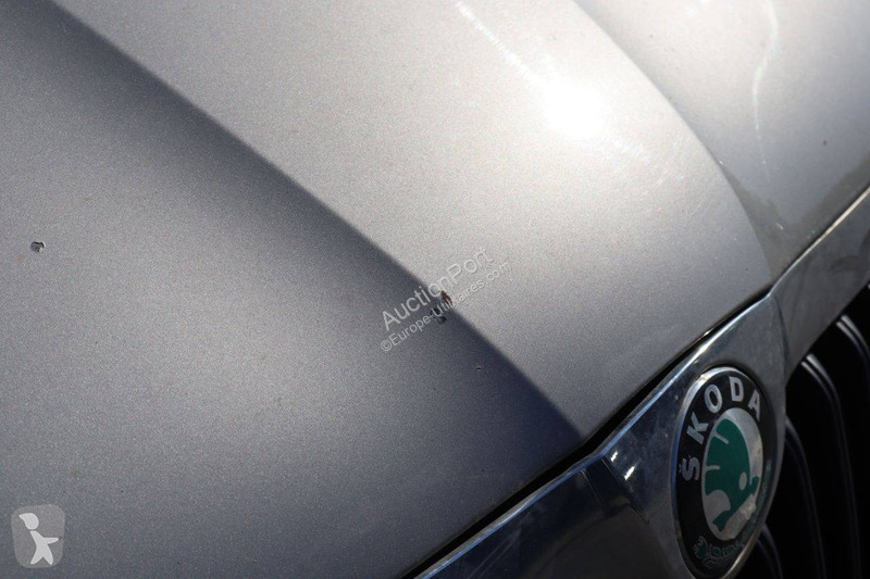 Samochód dostawczy Skoda