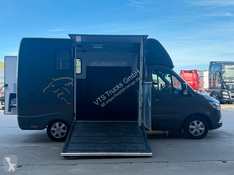 Autoutilitară Mercedes SODIAK HORSE 2 Pferde Luxus