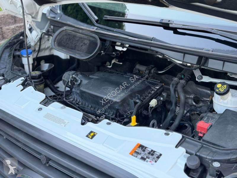 Veicolo commerciale Ford