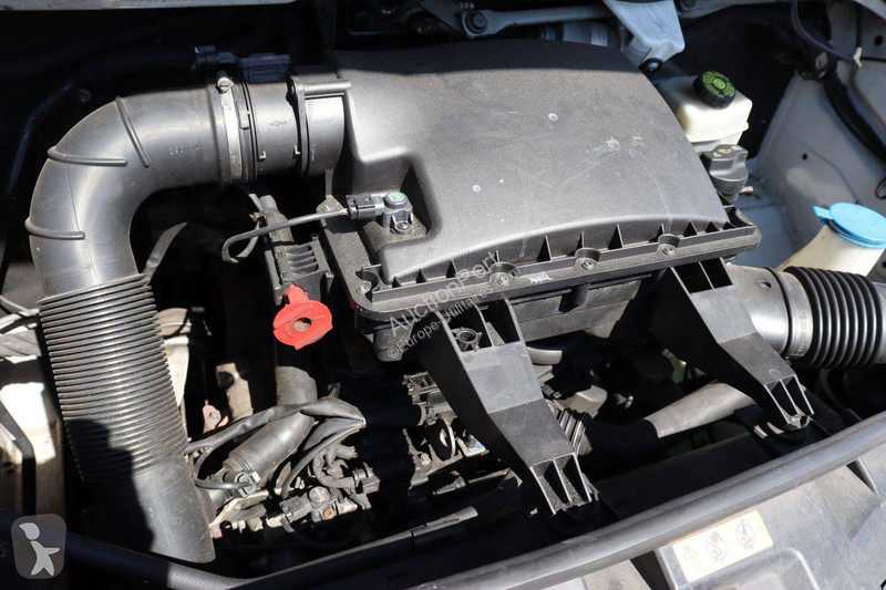 Véhicule utilitaire Mercedes 313 CDI
