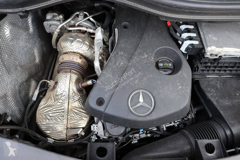 Mercedes  van