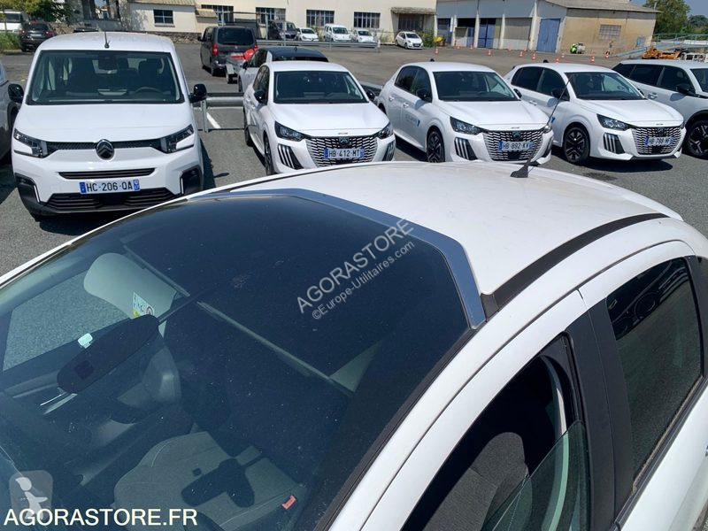 Véhicule utilitaire Citroën C3