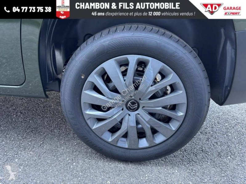 Diesel 130 ch M Automatique Max sans malus van