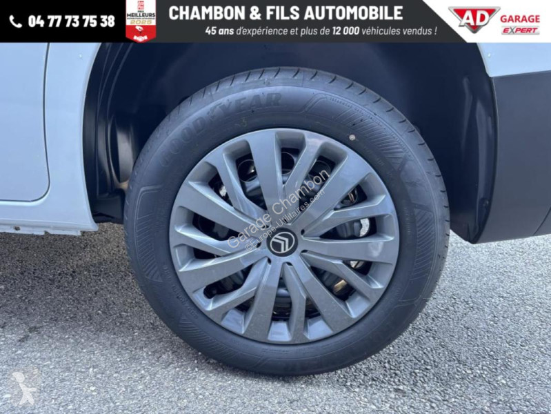Diesel 130 ch M Automatique Max sans malus van