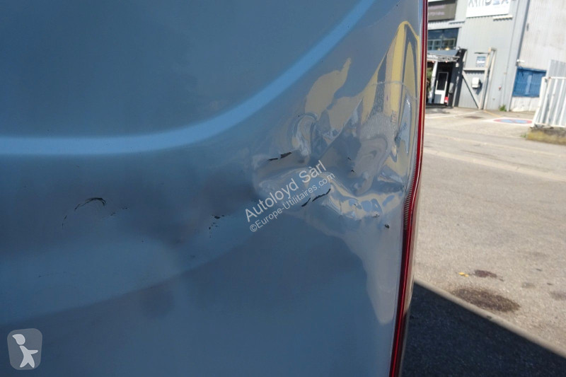 Véhicule utilitaire Ford 2,0 DPF 130