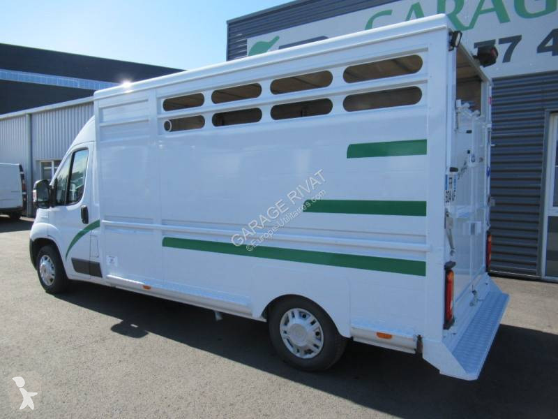 Véhicule utilitaire Fiat