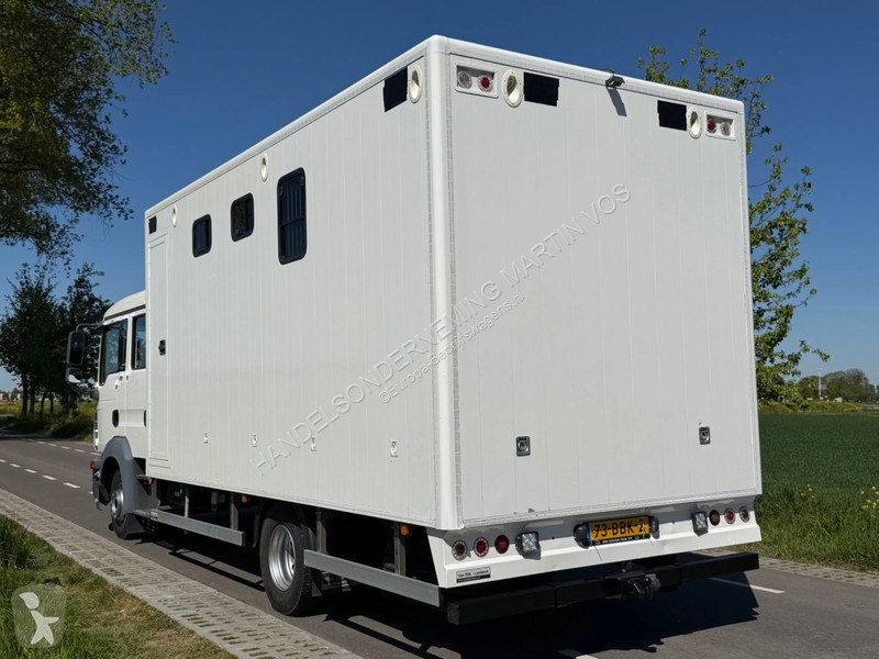 عربة نفعية MAN TGL 12.180 PAARDENWAGEN. TGL 12.180