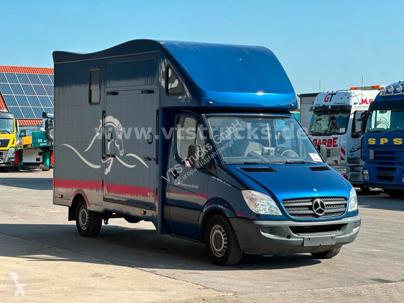 عربة نفعية Mercedes 319 CDi KHG Mystic...