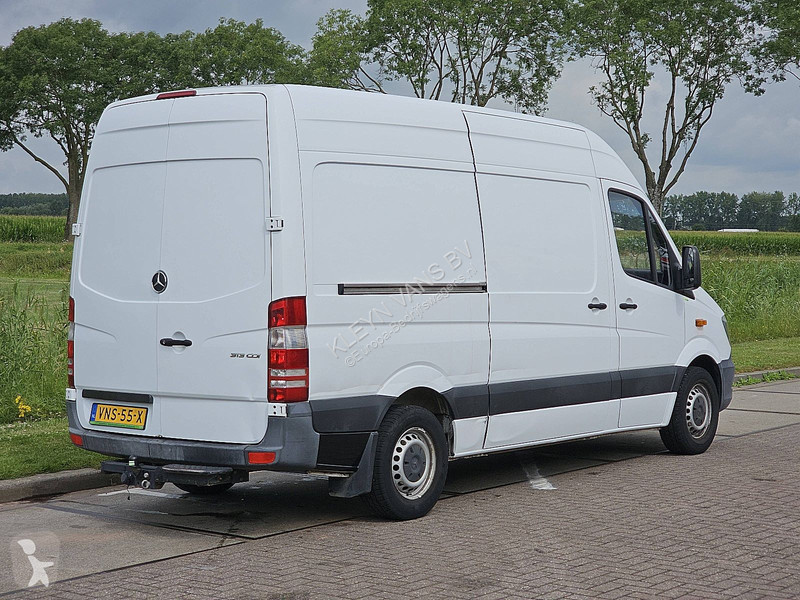 Furgoneta Mercedes 313 ac trekhaak