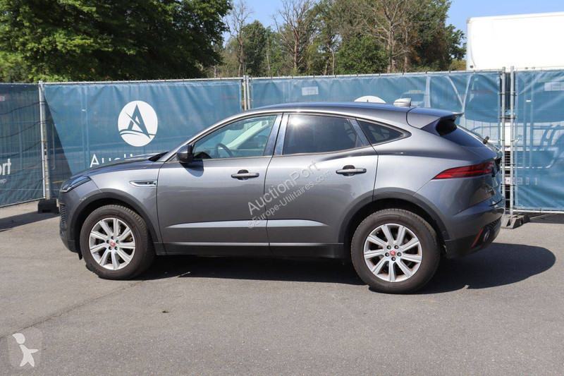 Jaguar  Transporter