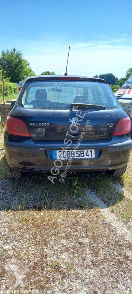 Furgoneta Peugeot 307