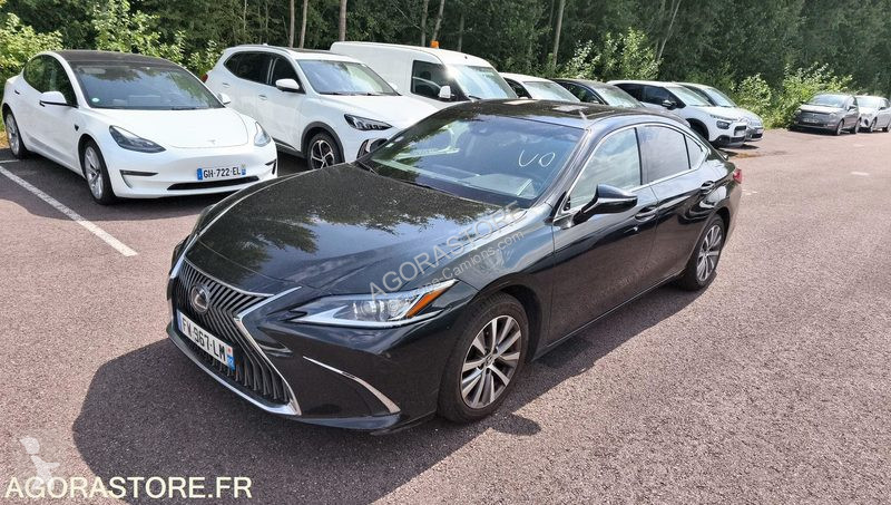 Véhicule utilitaire Lexus ES300H