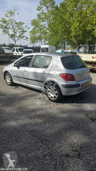 Furgoneta Peugeot 307