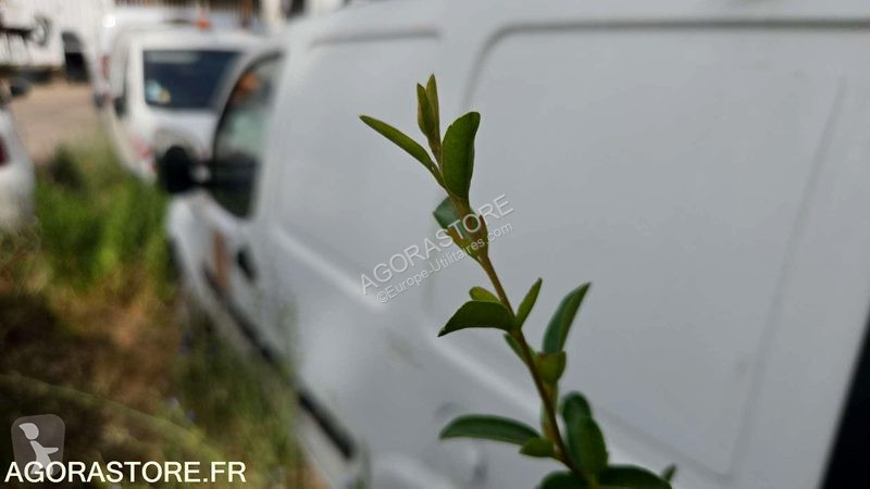 Лекотоварен автомобил Fiat DOBLO