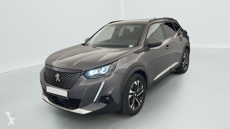 Véhicule utilitaire Peugeot BUSINESS