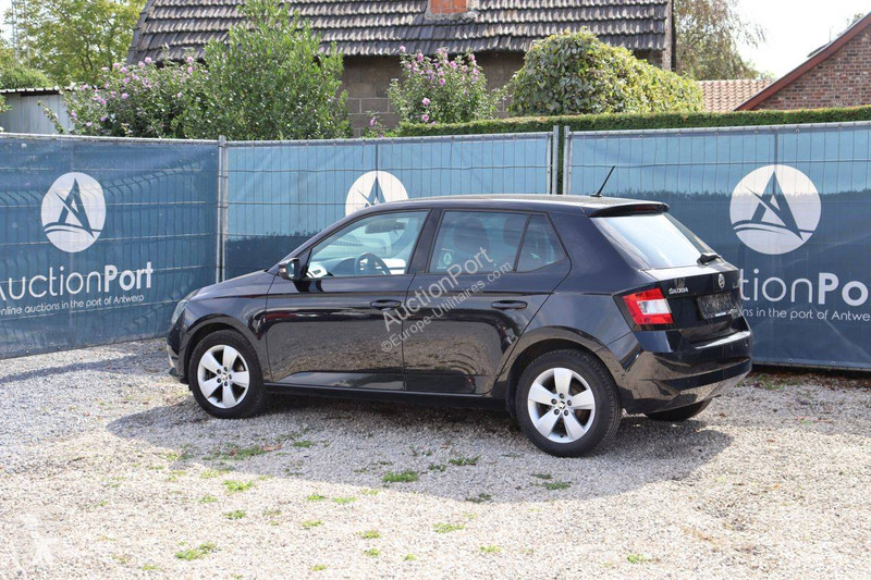 Furgoneta Skoda