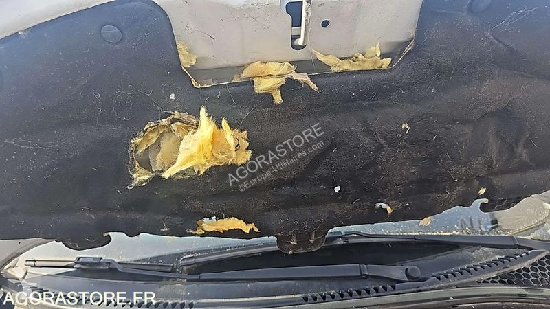 Veículo utilitário Citroën C3