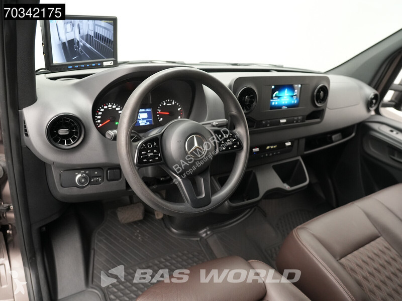 Mercedes 314 CDI Automaat Paardenwagen Horse...