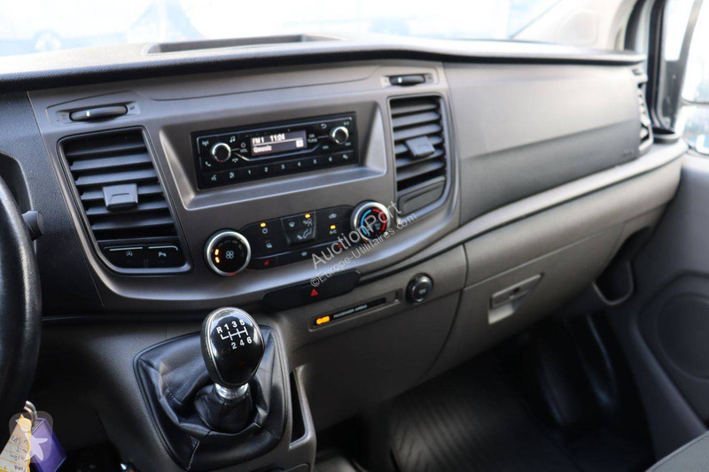 Furgoneta Ford