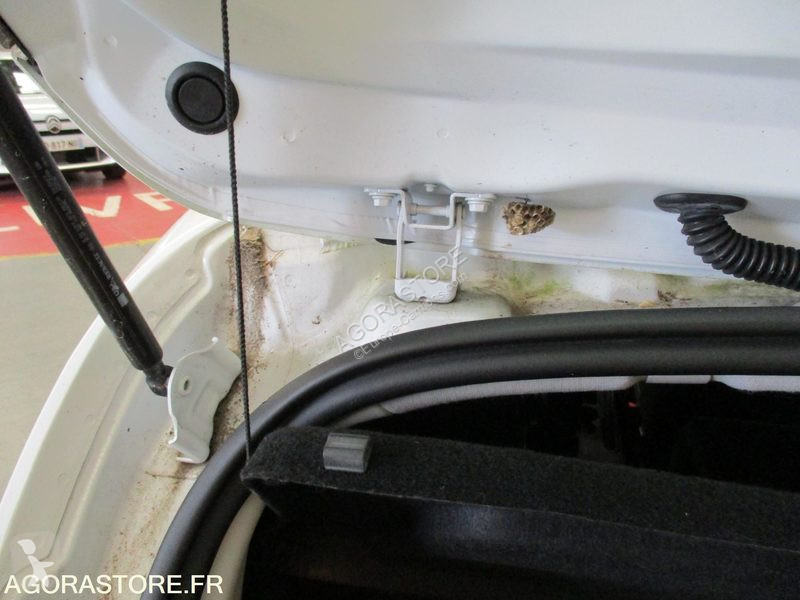 Nyttofordon Renault CLIO
