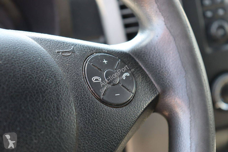 Véhicule utilitaire Mercedes 313 CDI