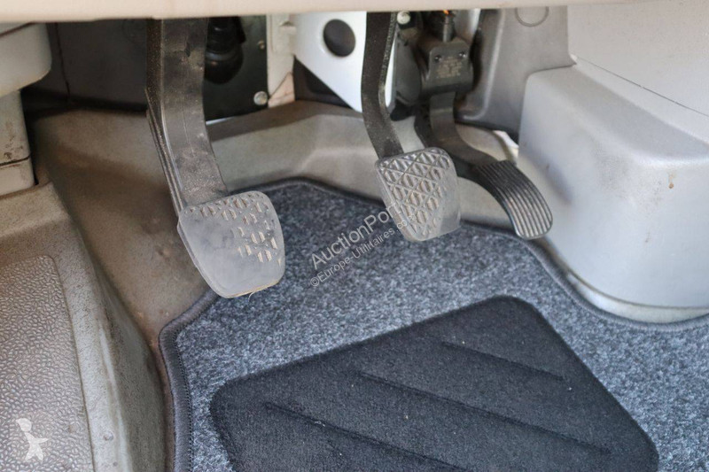 Véhicule utilitaire Mercedes 313 CDI