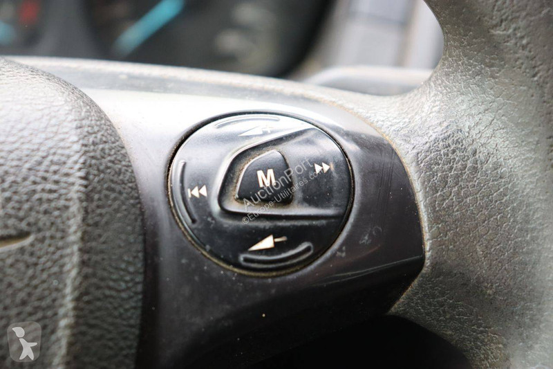 Véhicule utilitaire Ford