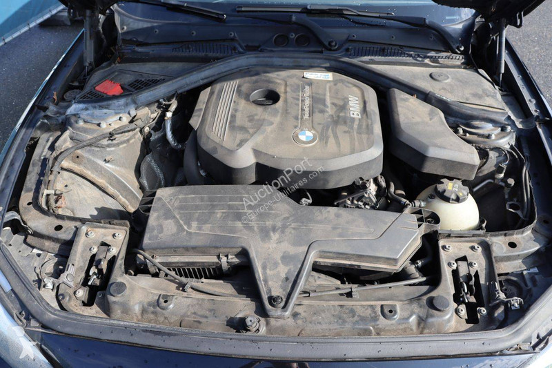 Furgoneta BMW  F20 LCI 116i