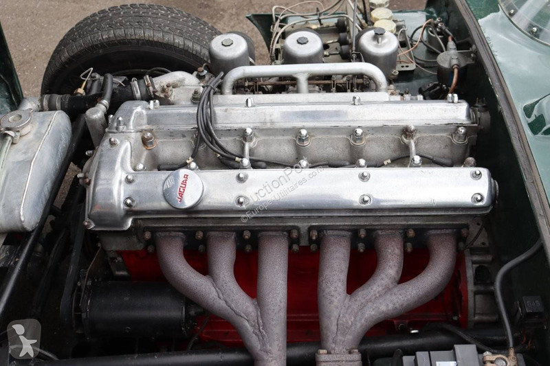 Véhicule utilitaire Jaguar  D-Type by RAM