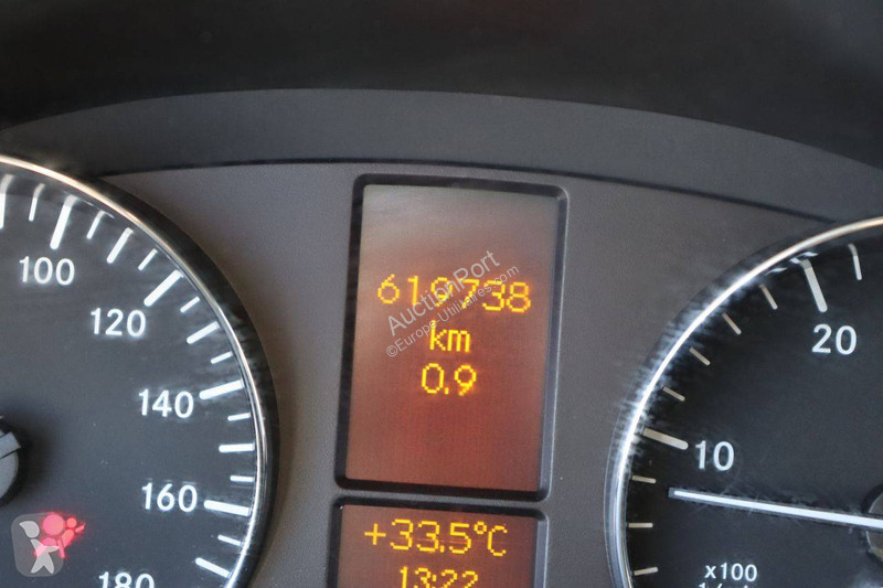 Véhicule utilitaire Mercedes 313 CDI