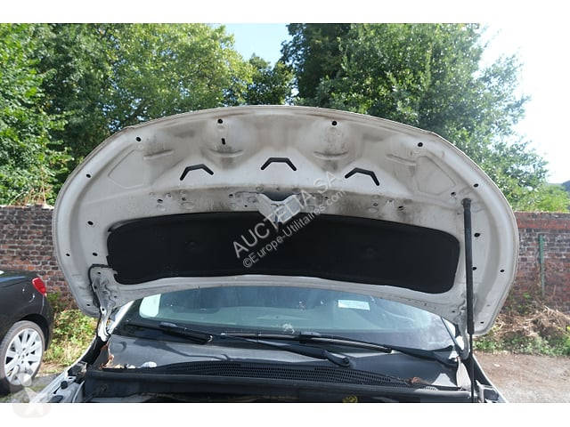 Véhicule utilitaire Opel