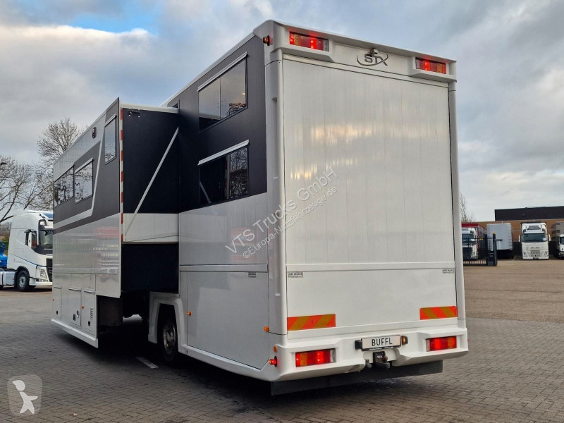 Véhicule utilitaire Volvo FL 290 STX BUFFL...