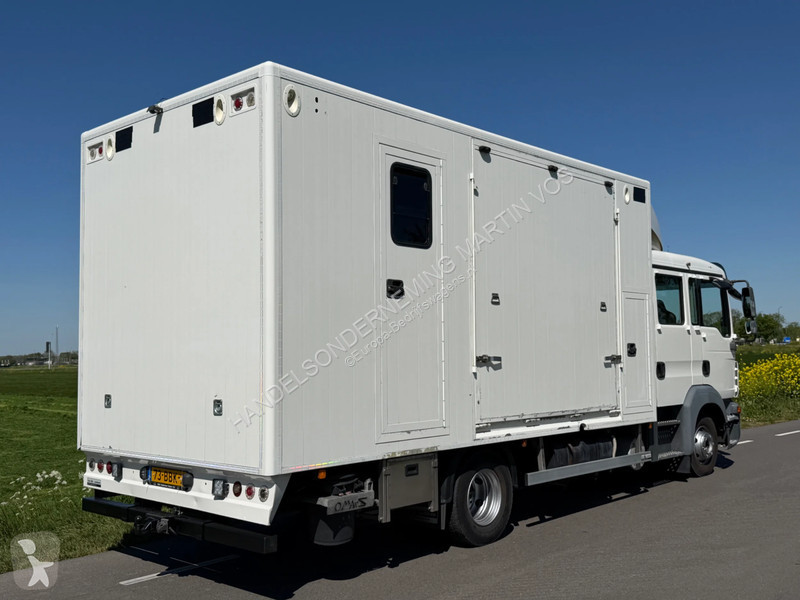 عربة نفعية MAN TGL 12.180 PAARDENWAGEN. TGL 12.180