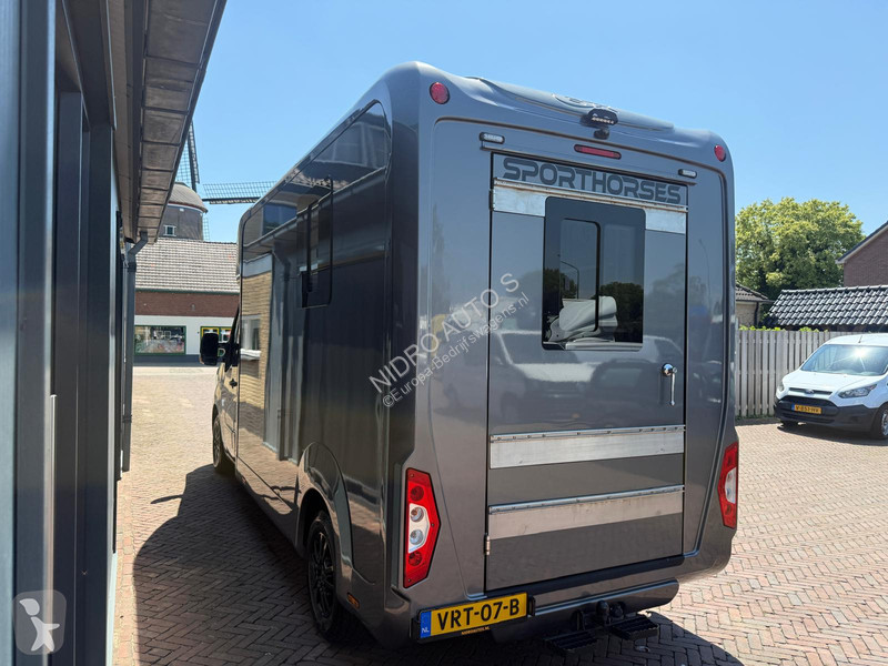 Renault STX S3 Paardenwagen Hengsten uitvoering...