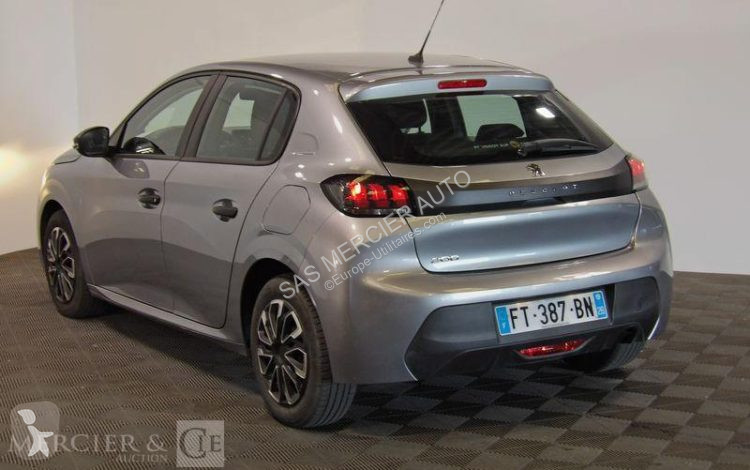عربة نفعية Peugeot