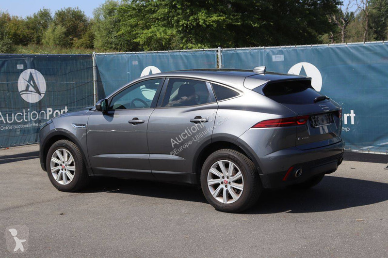 Jaguar  Transporter