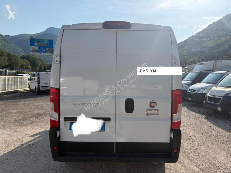 Furgoneta Fiat Diverse unità da 12500 euro