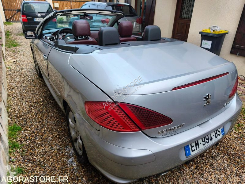 Véhicule utilitaire Peugeot 307