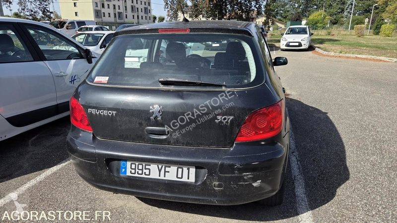 Samochód dostawczy Peugeot 307