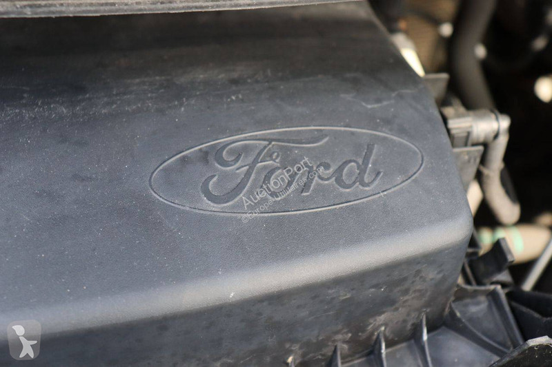 Furgoneta Ford
