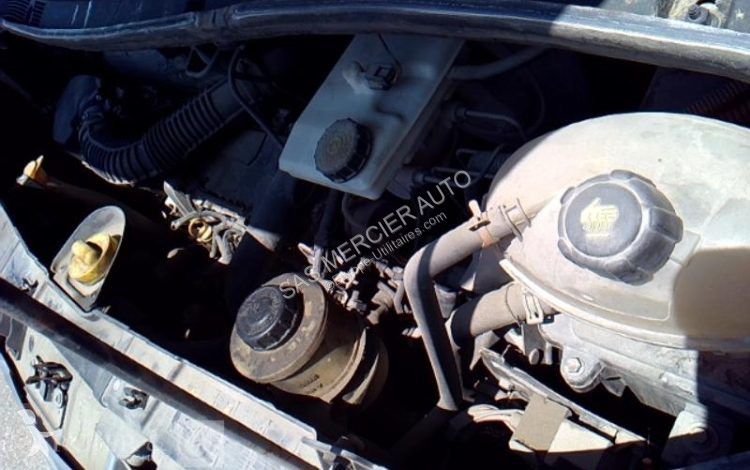 Furgoneta Renault