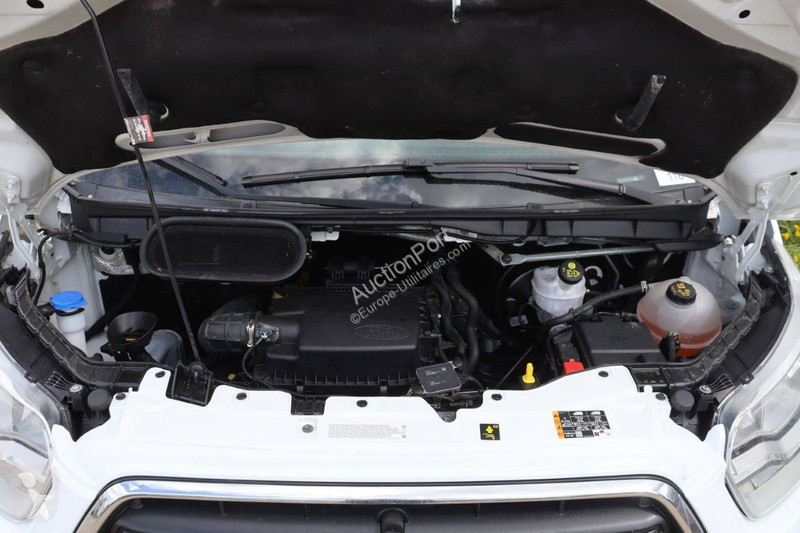 Furgoneta Ford