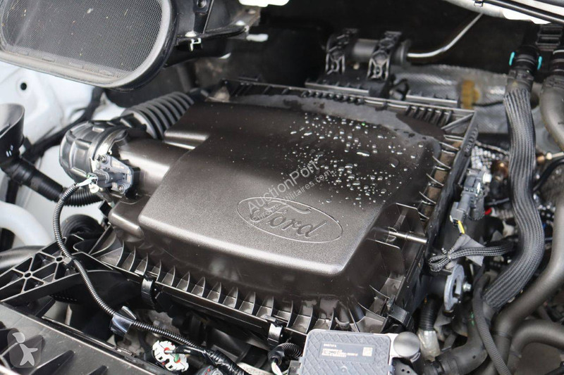 Furgoneta Ford