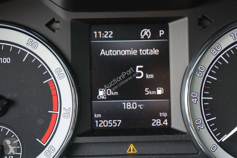 Furgoneta Skoda
