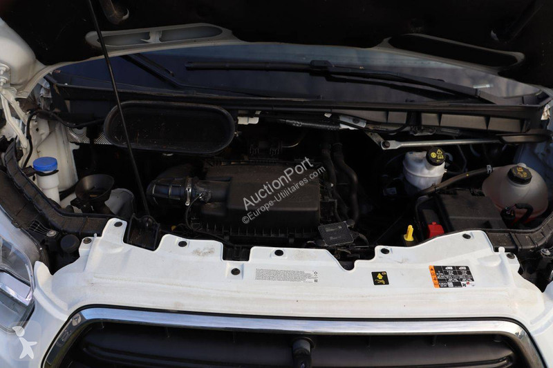Furgoneta Ford