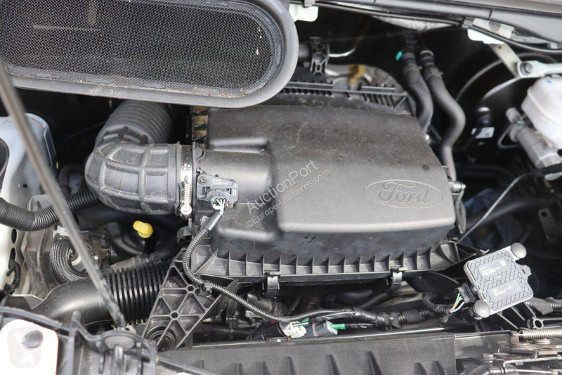 Furgoneta Ford