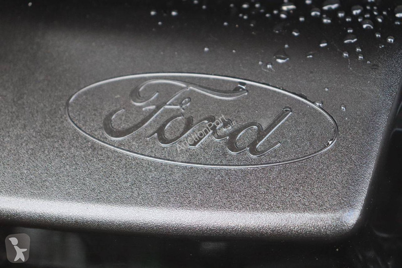 Furgoneta Ford