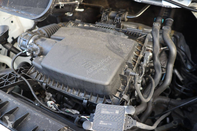 Furgoneta Ford