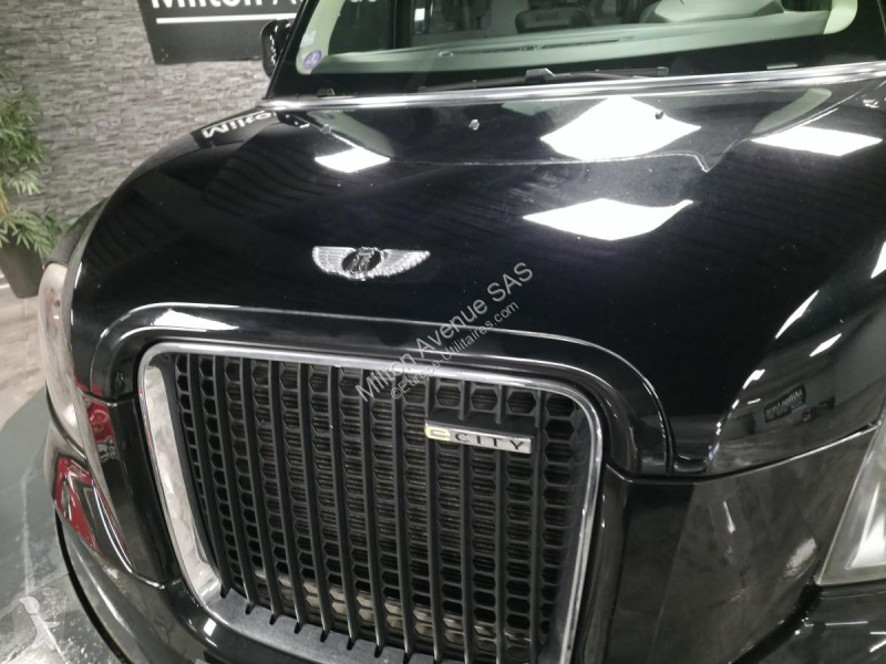 Samochód dostawczy Levc TX e-City - 150  Icon